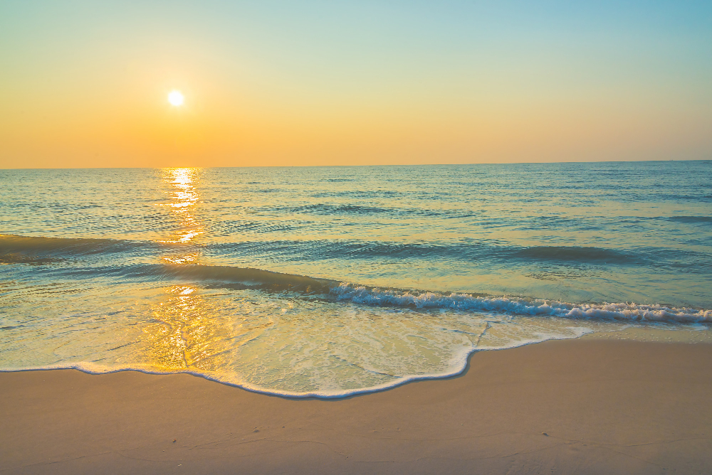 B&B Ostia casa vacanze ostia. appartamento mare ostia